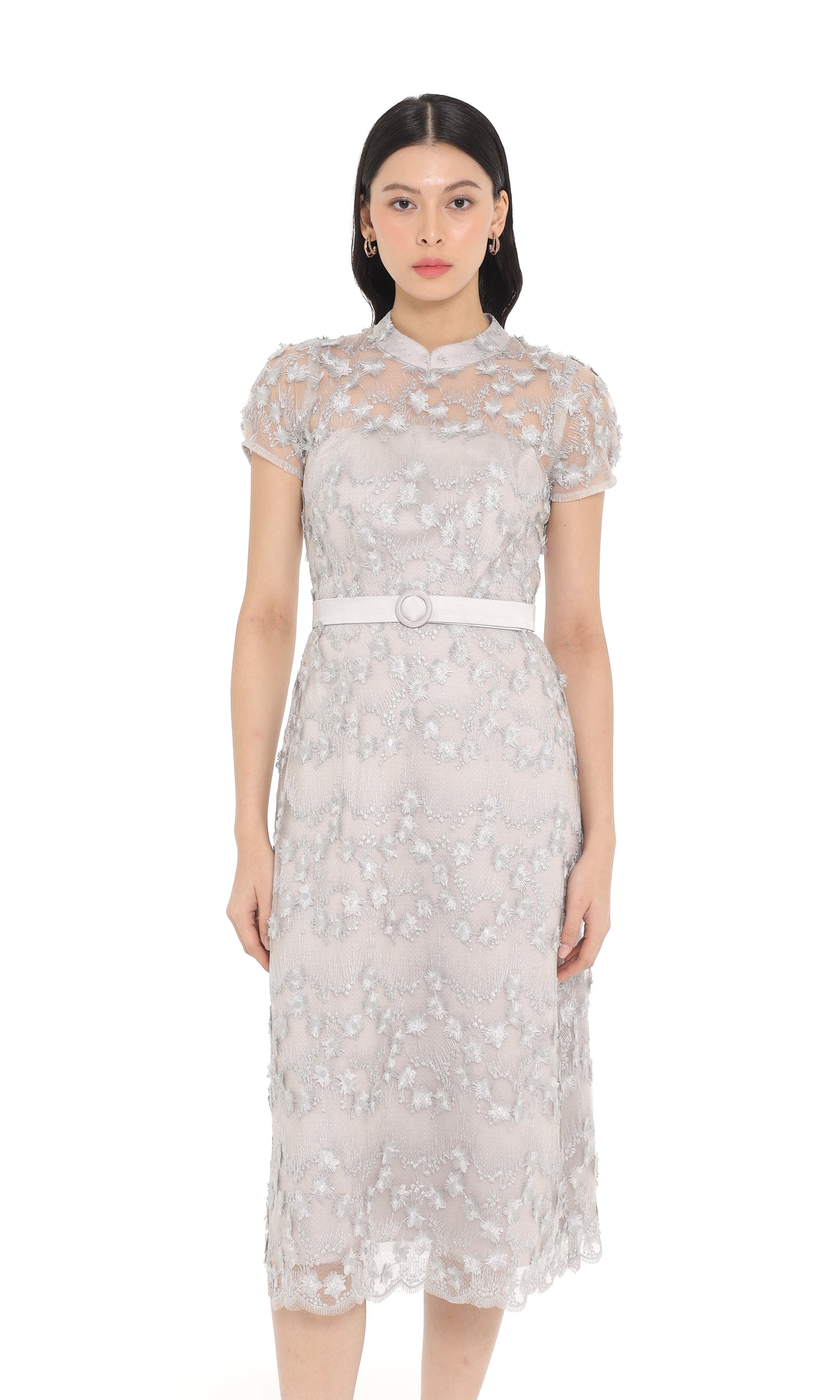 Clea Dress in Silver